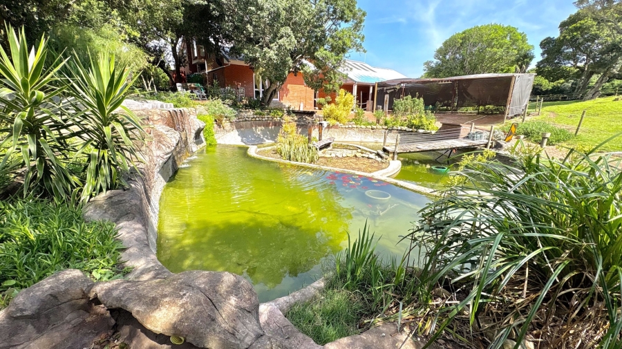 6 Bedroom Property for Sale in Lovemore Park Eastern Cape